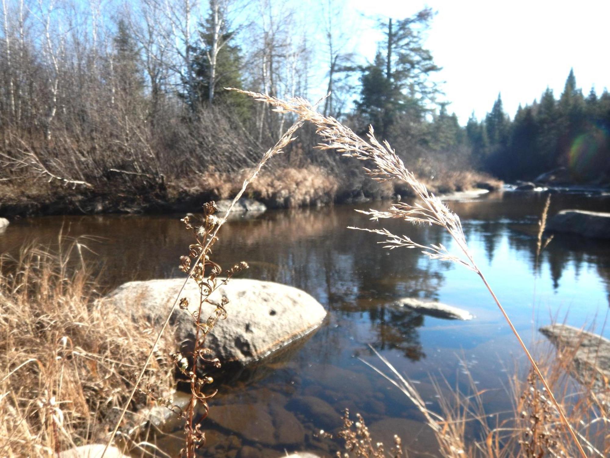 Aux Tipis De La Riviere Sauvage Villa Saint Romain Exteriör bild