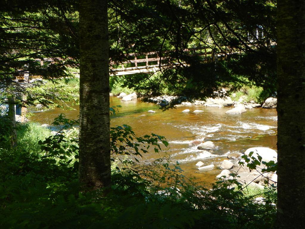 Aux Tipis De La Riviere Sauvage Villa Saint Romain Rum bild