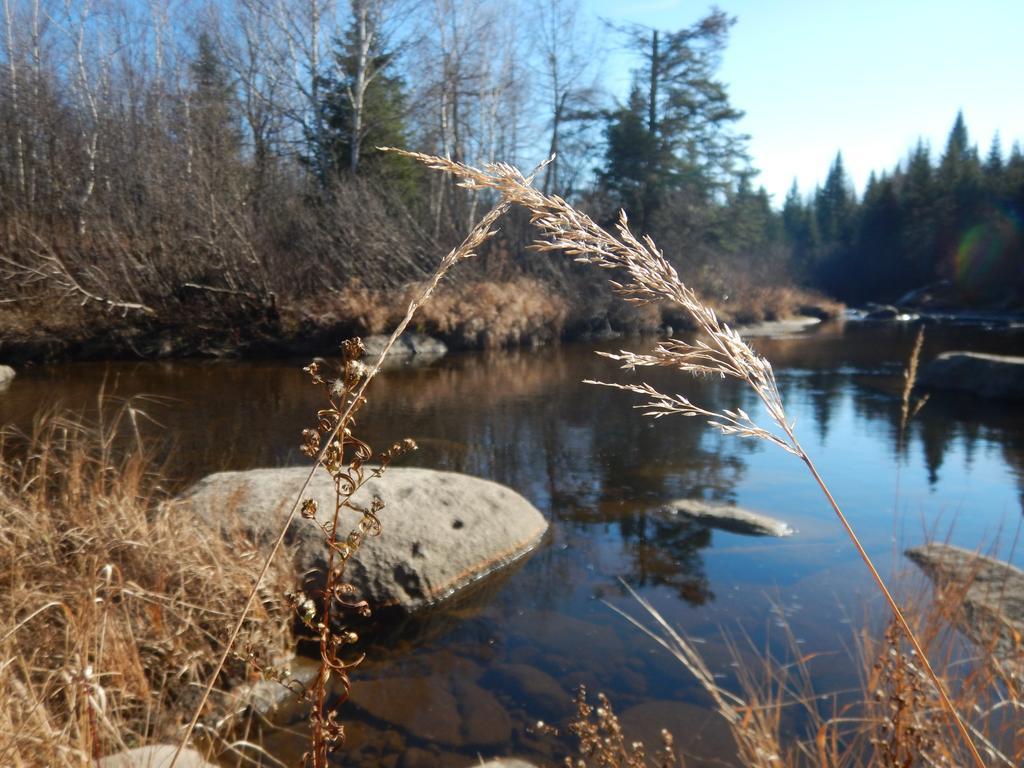 Aux Tipis De La Riviere Sauvage Villa Saint Romain Exteriör bild