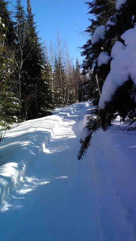 Aux Tipis De La Riviere Sauvage Villa Saint Romain Exteriör bild