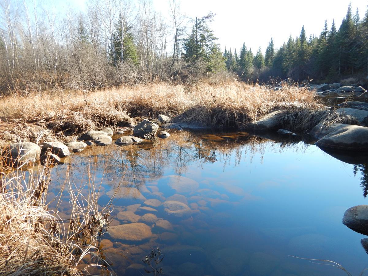Aux Tipis De La Riviere Sauvage Villa Saint Romain Exteriör bild