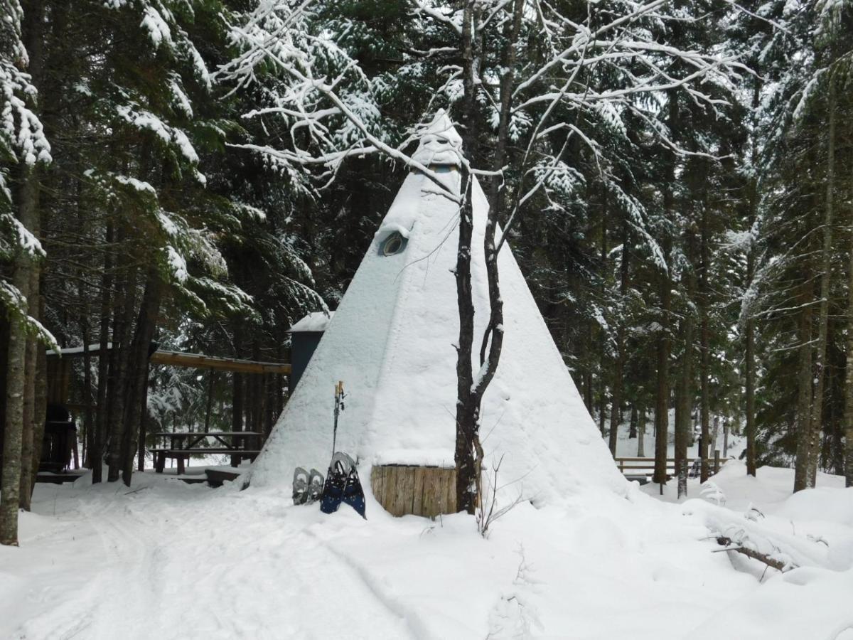 Aux Tipis De La Riviere Sauvage Villa Saint Romain Exteriör bild